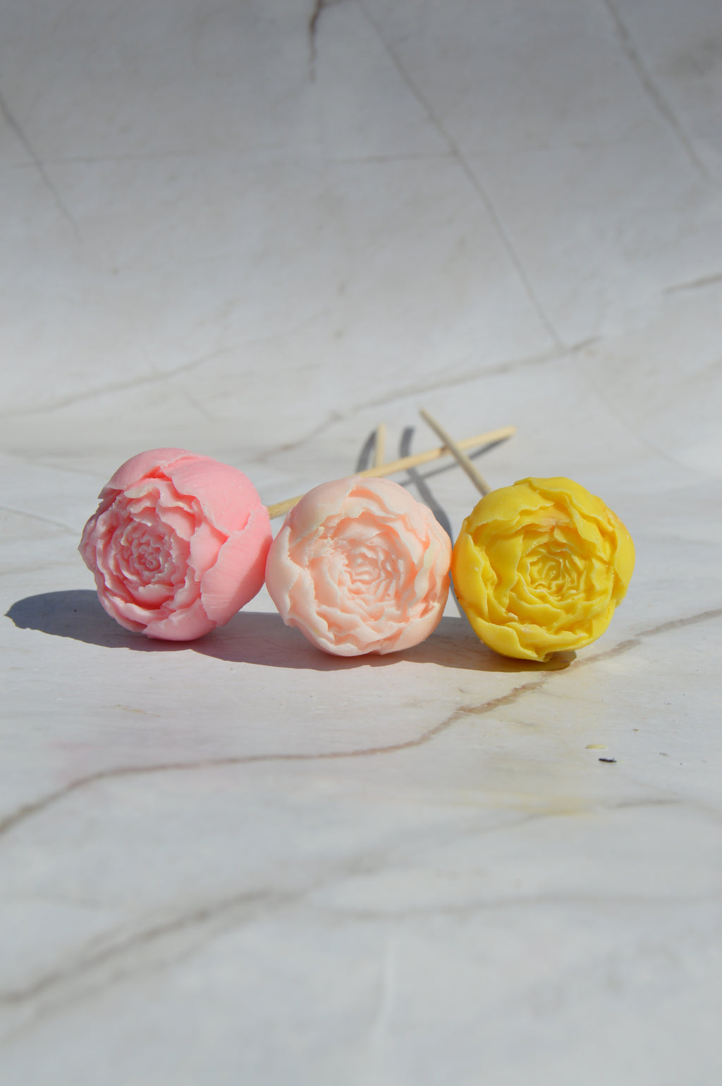 Petite pivoine