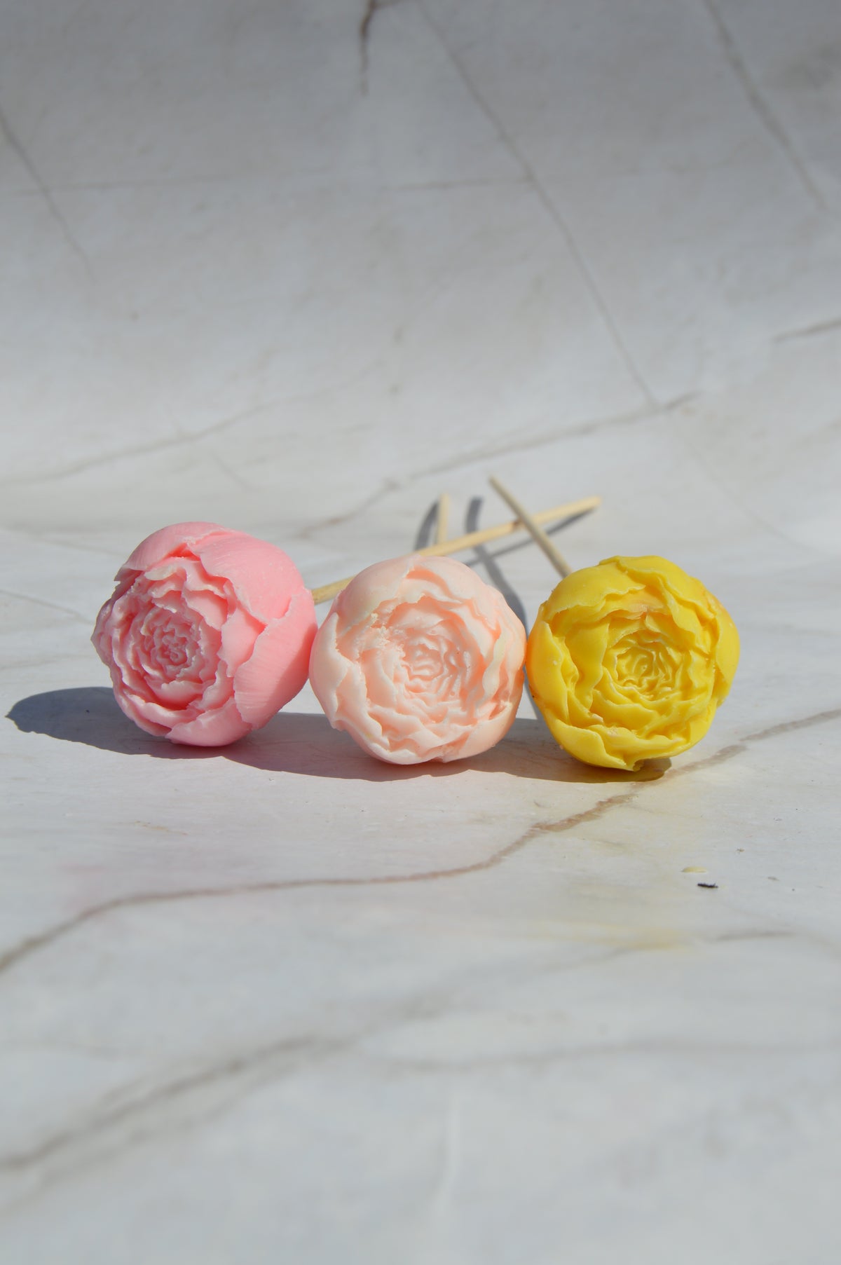 Petite pivoine