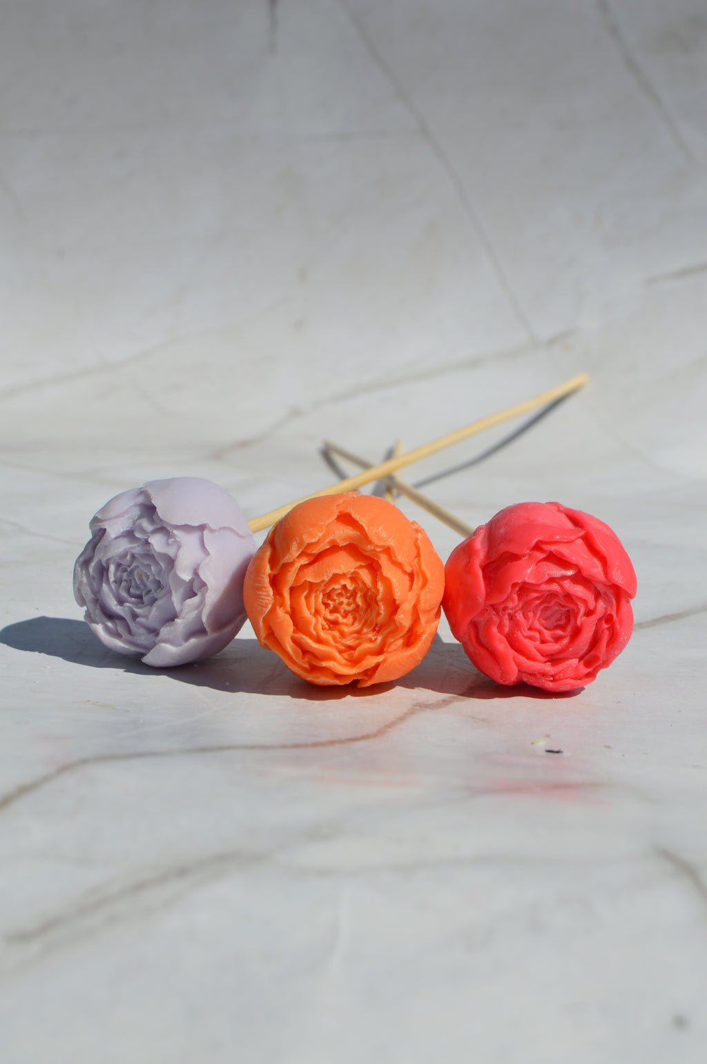 Petite pivoine