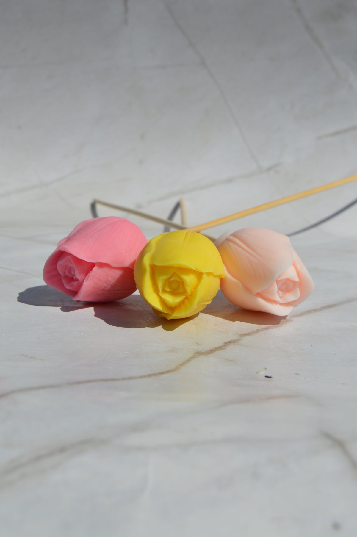 Tulipe