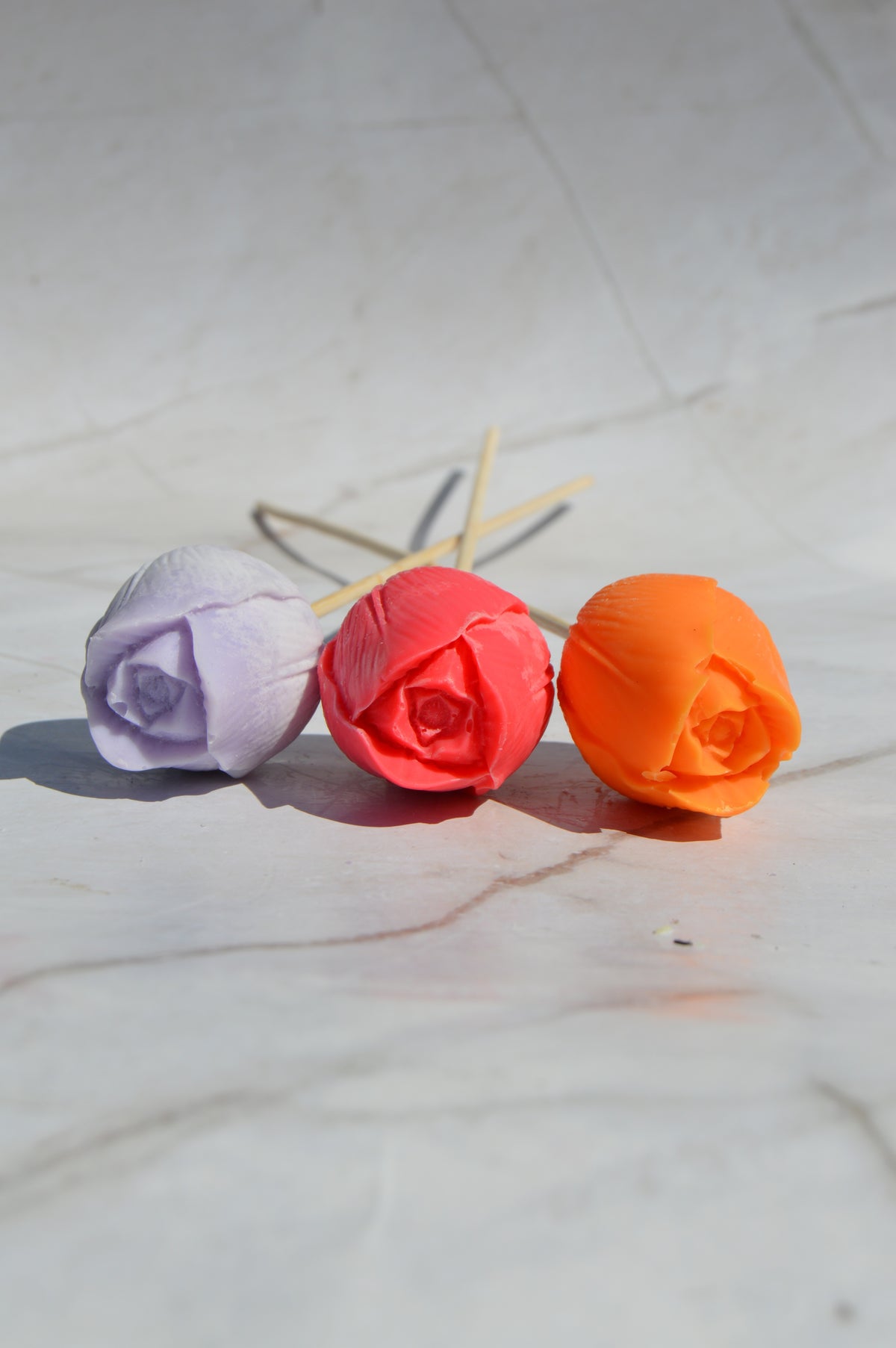 Tulipe
