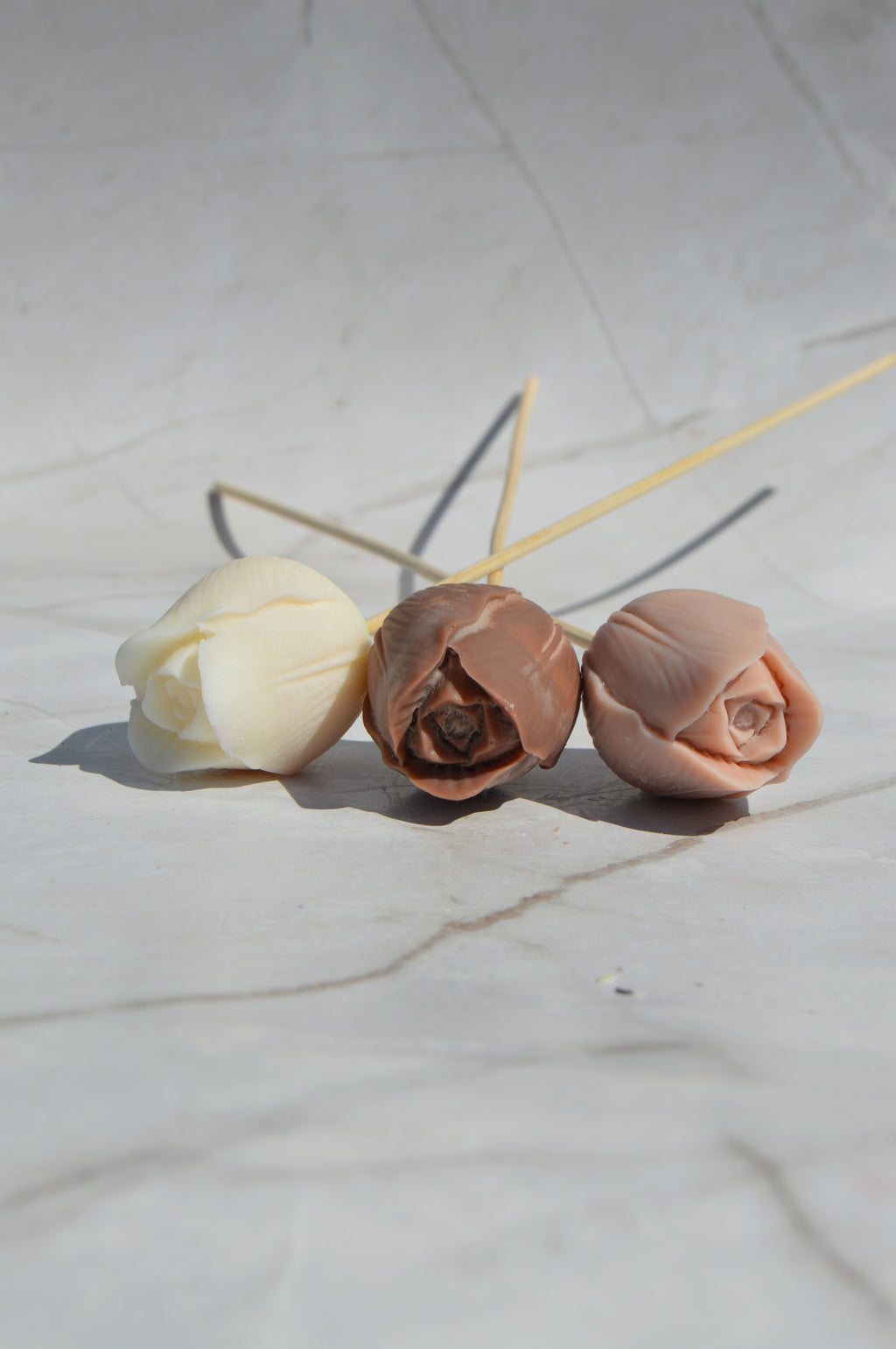 Tulipe