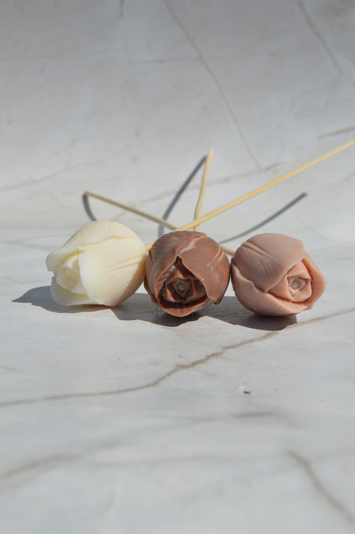 Tulipe