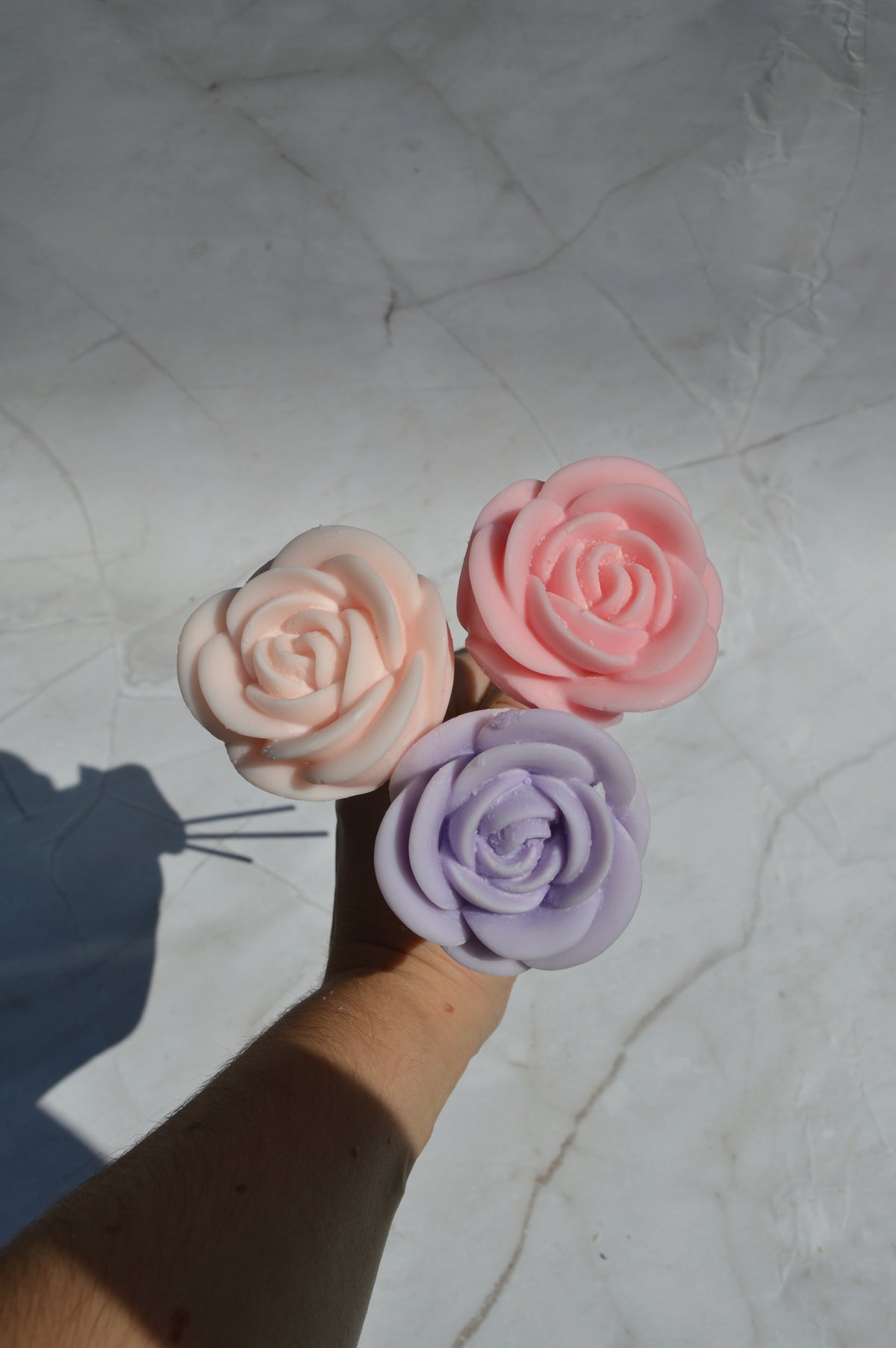 Grande rose