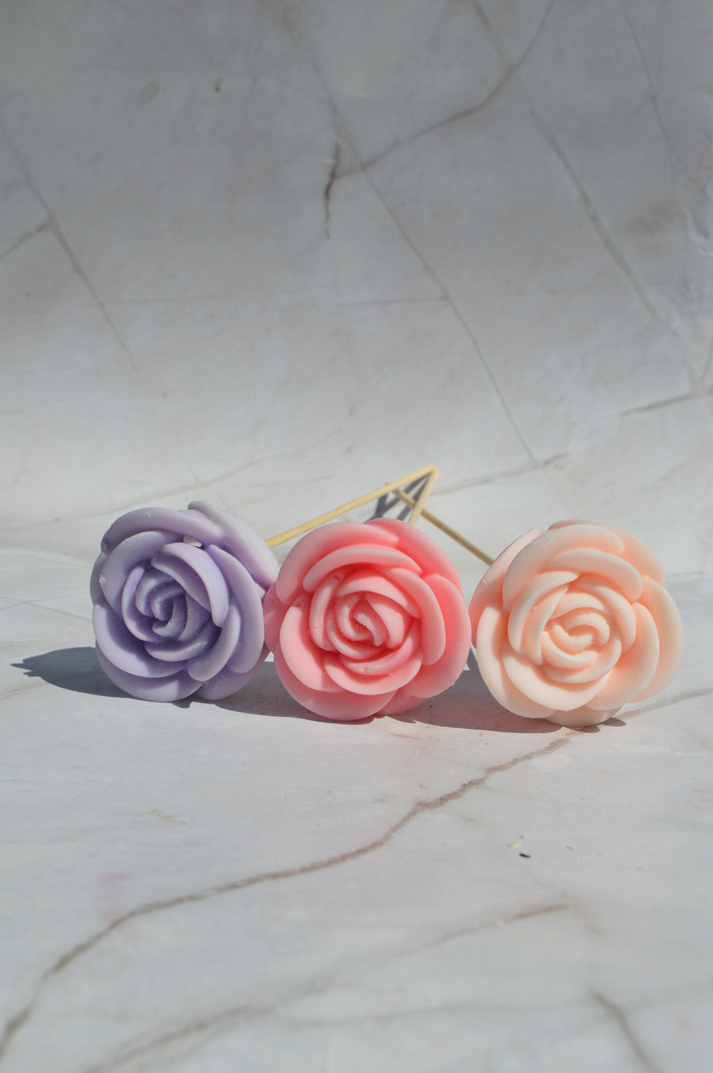 Grande rose