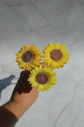 Petit tournesol