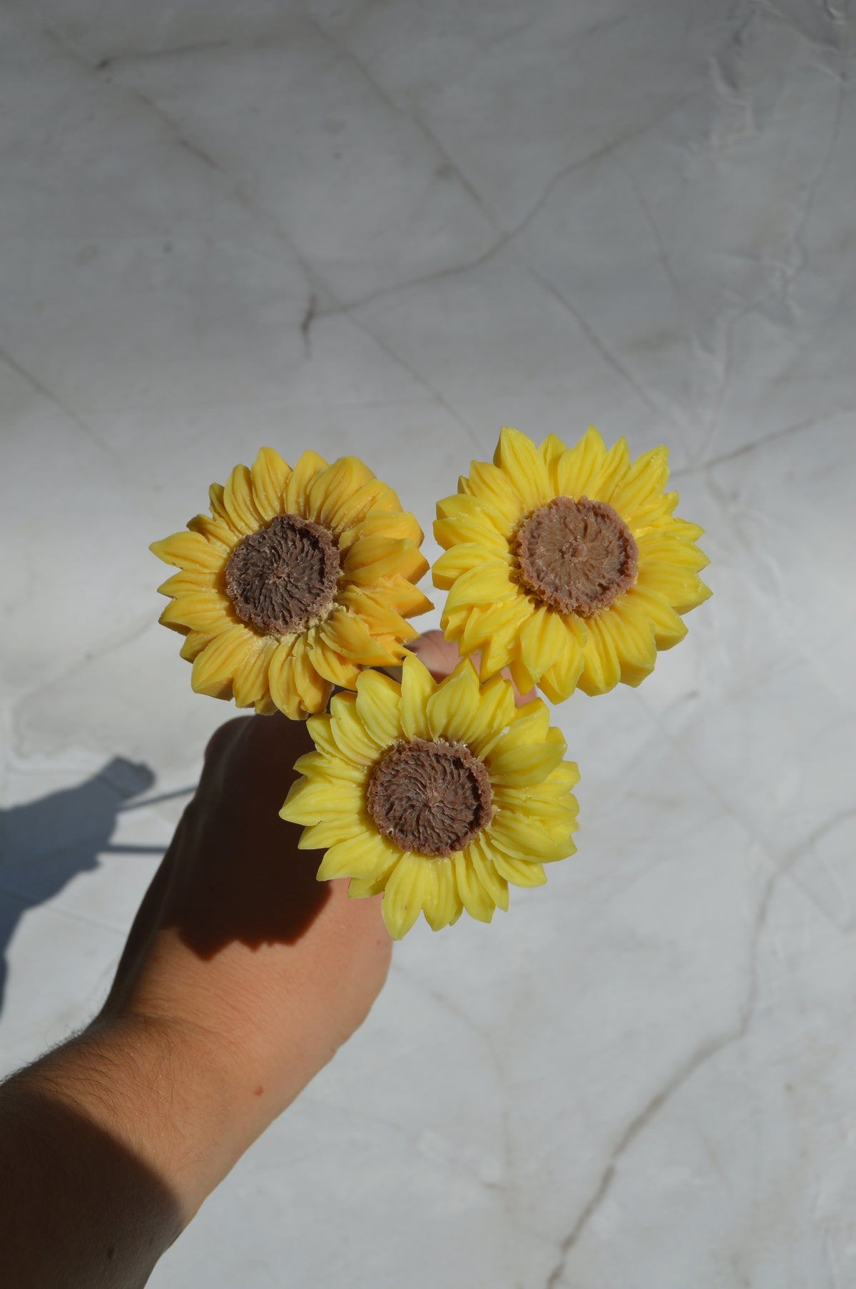 Petit tournesol