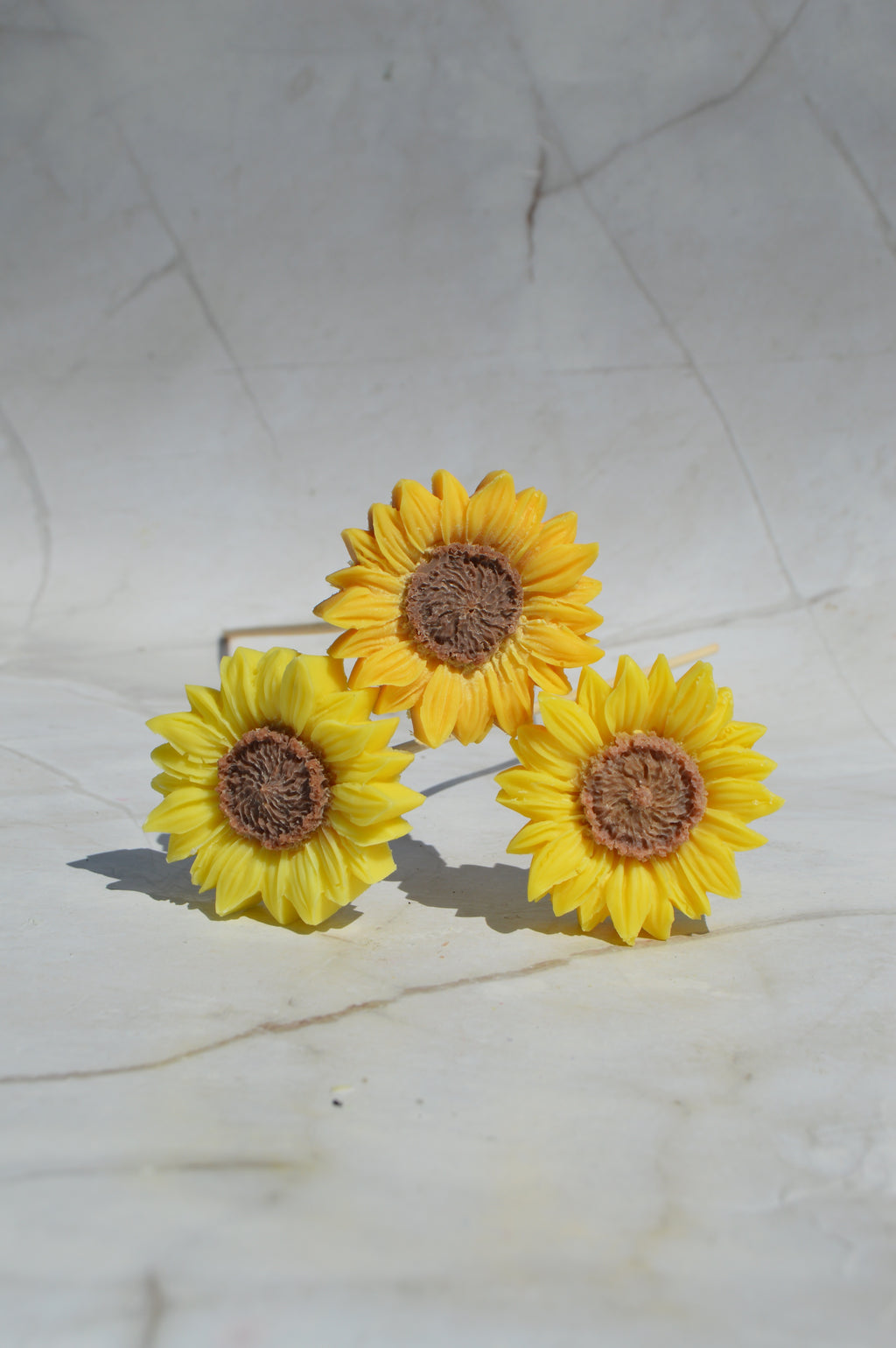 Petit tournesol