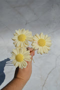 Marguerite