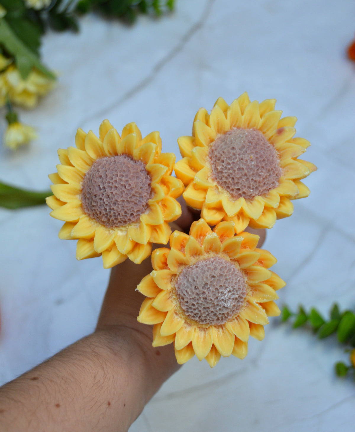 Grand tournesol
