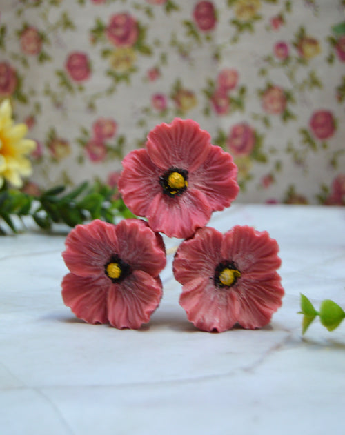 Coquelicot